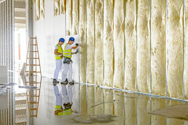 Best Cellulose Insulation in Essex Junction, VT